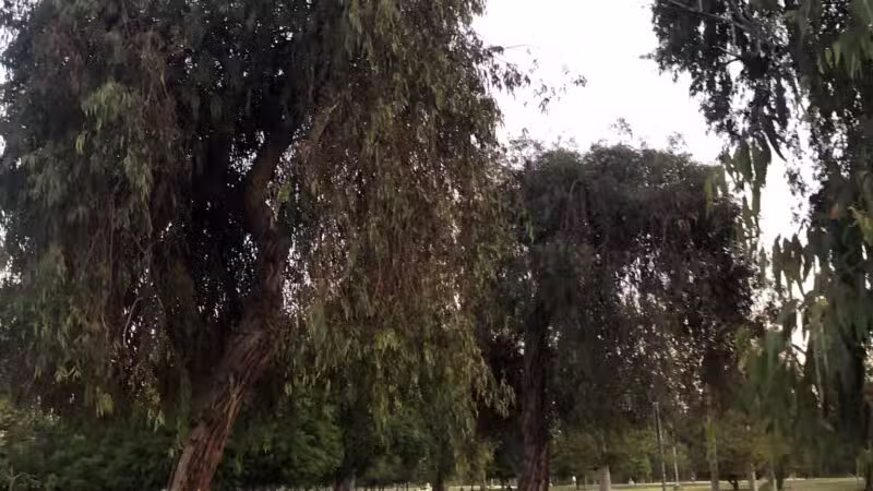 North Hollywood Park - North Hollywood, CA
