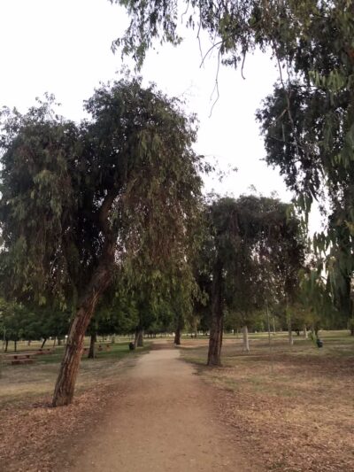 North Hollywood Park - North Hollywood, CA