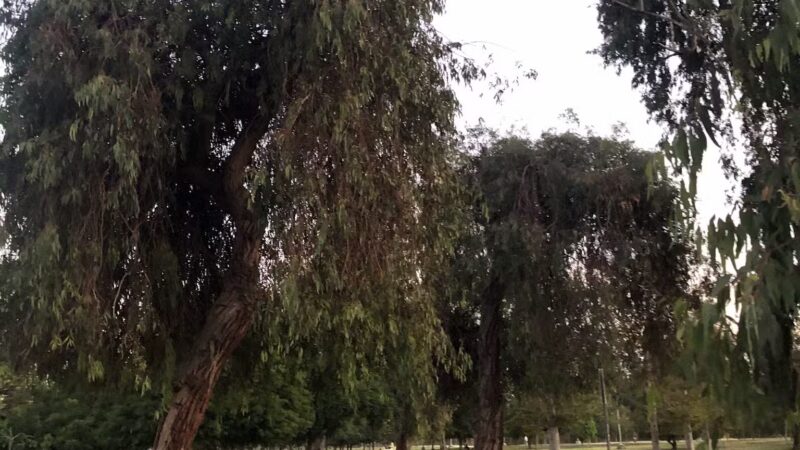North Hollywood Park - North Hollywood, CA