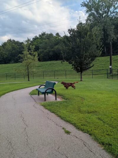 Waggin' Trail Dog Park - North Kansas City, MO
