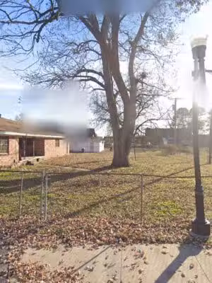 Honey Elizabeth - North Little Rock, AR