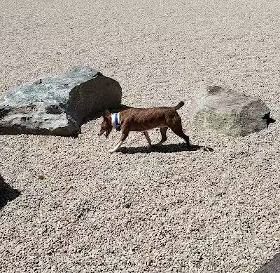 Oxford Dog Park - North Oxford, MI