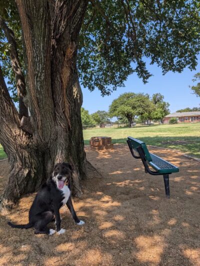 NRH Tipps Canine Hollow Dog Park - North Richland Hills, TX