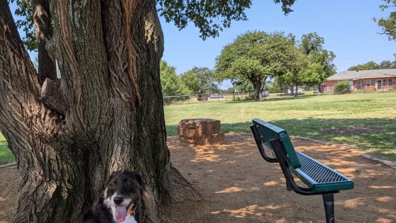 NRH Tipps Canine Hollow Dog Park - North Richland Hills, TX
