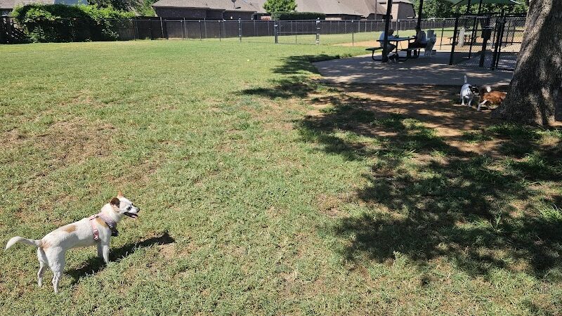 NRH Tipps Canine Hollow Dog Park - North Richland Hills, TX