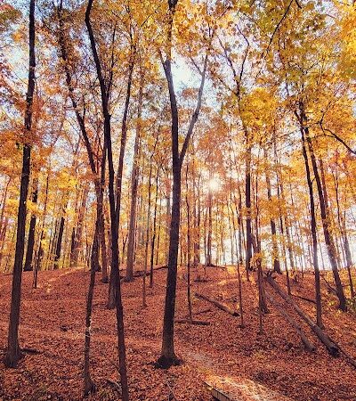 Muscatatuck Park - North Vernon, IN