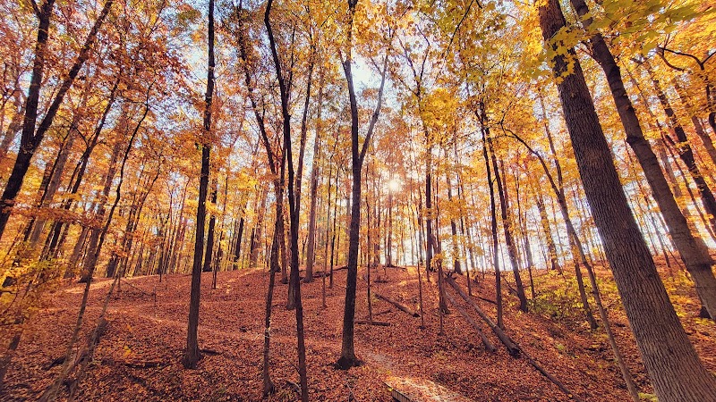 Muscatatuck Park - North Vernon, IN