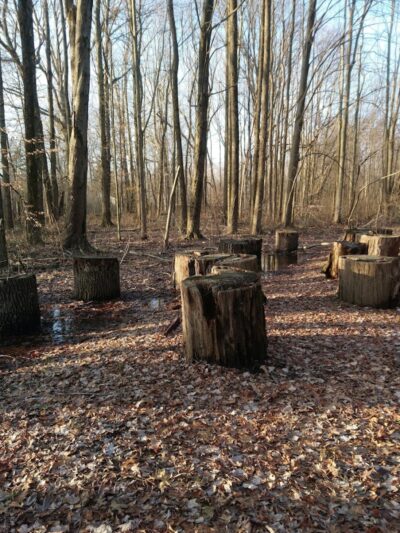 Muscatatuck Park - North Vernon, IN