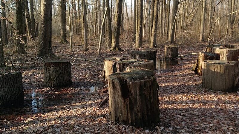 Muscatatuck Park - North Vernon, IN