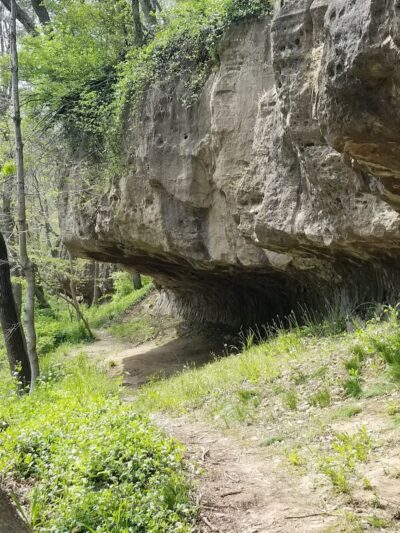 Muscatatuck Park - North Vernon, IN