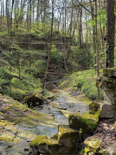 Muscatatuck Park - North Vernon, IN