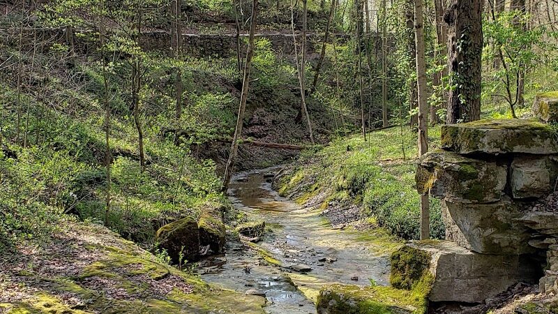 Muscatatuck Park - North Vernon, IN