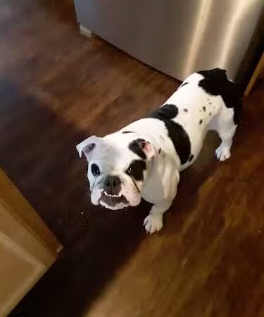 North Vernon City Park - North Vernon, IN