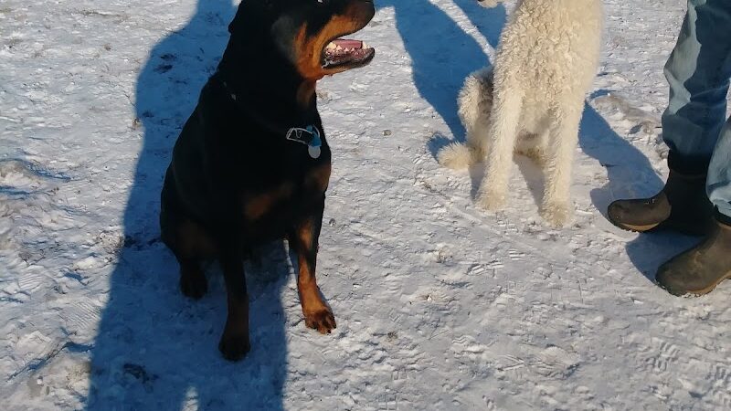 Northfield Dog Park - Northfield, MN