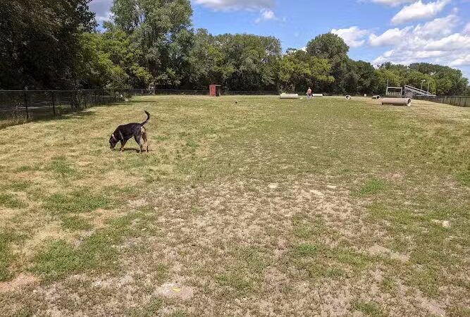 Northfield Dog Park - Northfield, MN