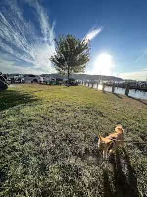 Cow Harbor Park - Northport, NY