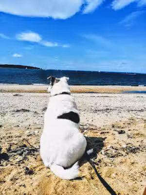 Hobart Beach Park - Northport, NY