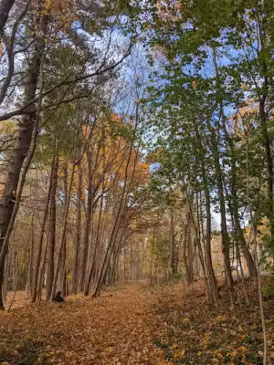 Northport Rail Trail Entrance - Northport, NY