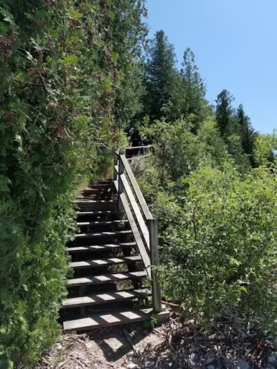 Peterson Park - Northport,