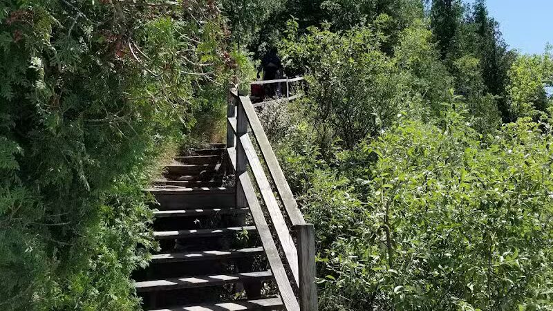 Peterson Park - Northport,