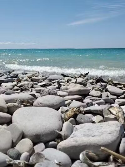 Peterson Park - Northport,