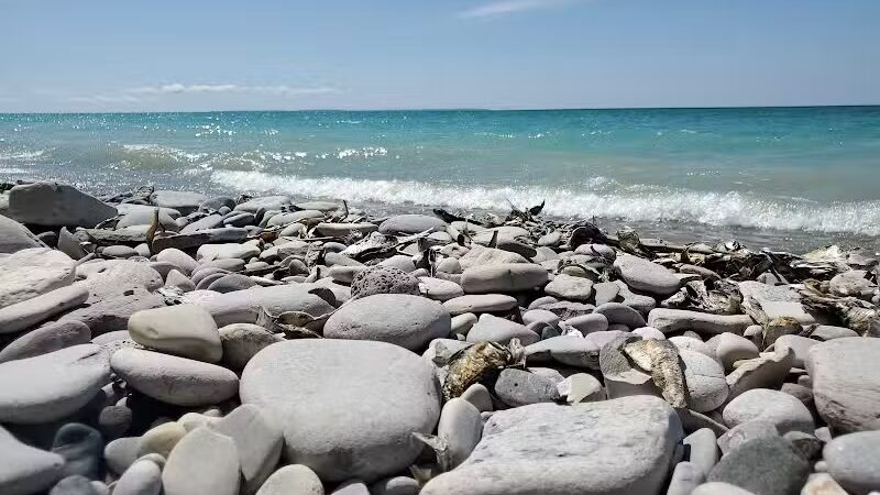 Peterson Park - Northport,