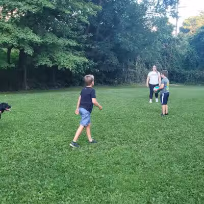 Cady Street Dog Park - Northville, MI
