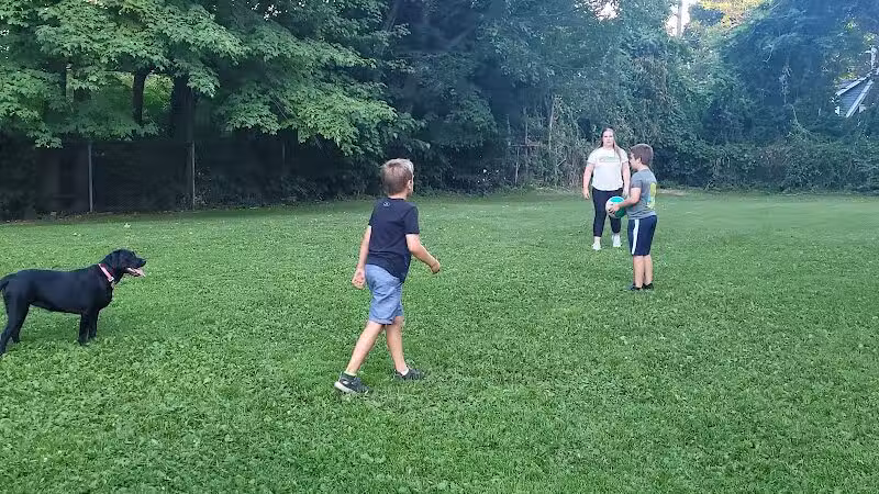Cady Street Dog Park - Northville, MI