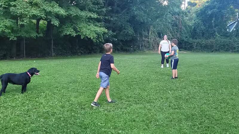 Cady Street Dog Park - Northville, MI