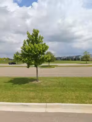 Northville Community Park Parking Lot For Dog Park - Northville Township,