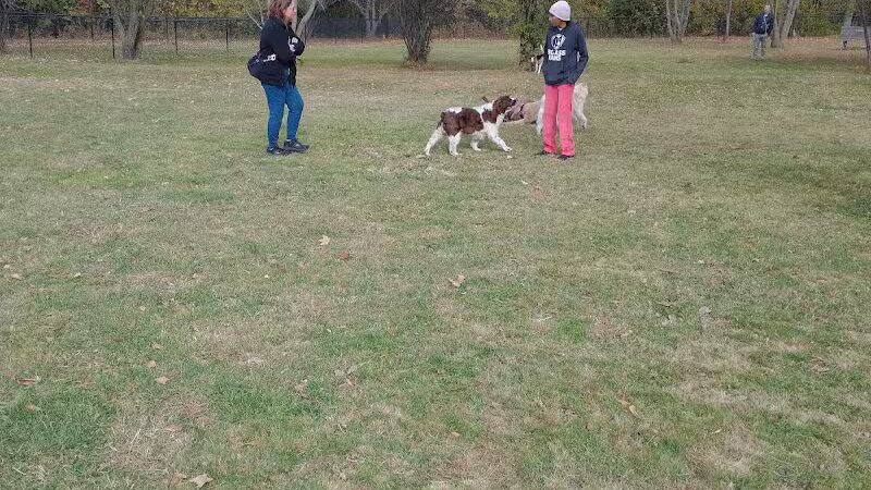 Northville Dog Park - Northville Township, MI