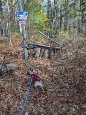 Crane Farm Preserve - Norton, MA