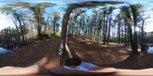 Henrich Woods - Norton, MA