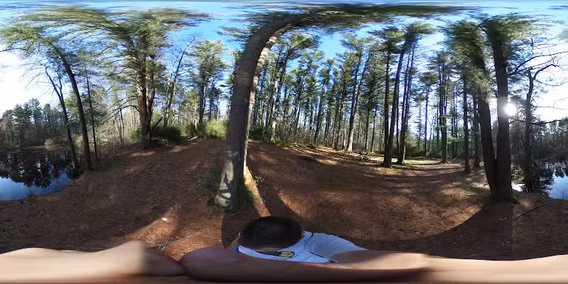 Henrich Woods - Norton, MA