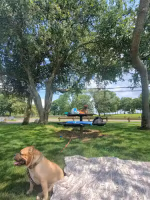 Taylor Farm Dog Park - Norwalk, CT