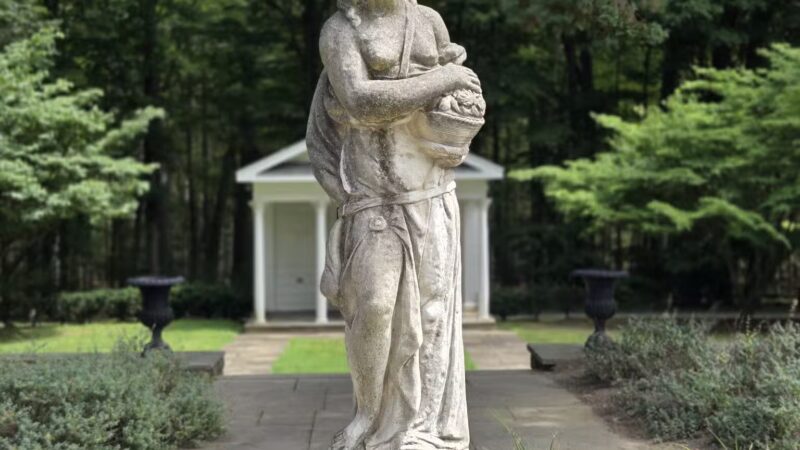 Cranbury dog park - Norwalk, CT