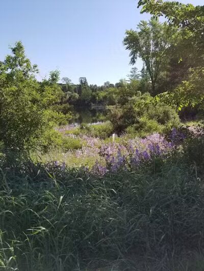 Strawberry Lake Park - Norway,
