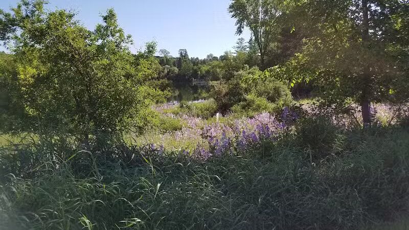 Strawberry Lake Park - Norway,
