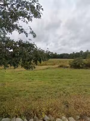 Donovan Fields - Norwell, MA