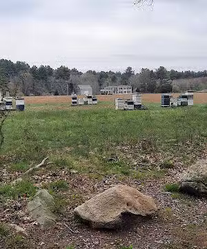 Donovan Wildcat Trails Parking - Norwell, MA