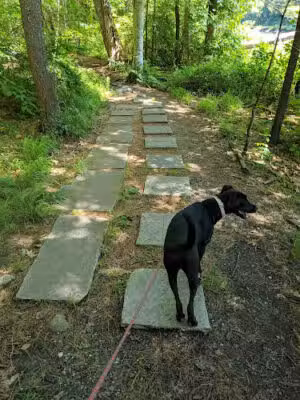 Norris Reservation - Norwell, MA