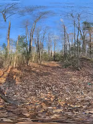 Wompatuck State Park - Grove Street Access - Norwell, MA