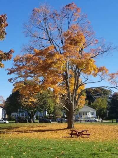 Disabled American Veterans Memorial Park - Norwood, MA