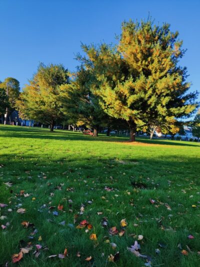 Disabled American Veterans Memorial Park - Norwood, MA