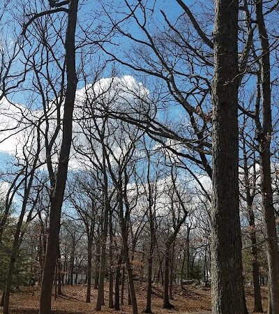 Shattuck Park - Norwood, MA