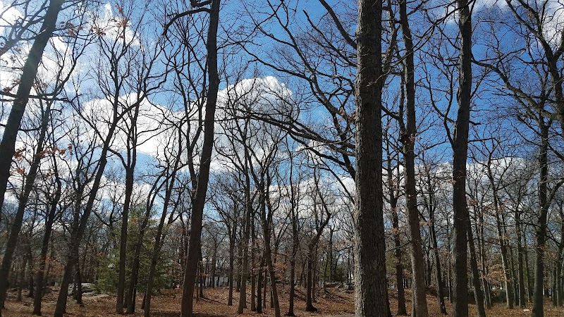 Shattuck Park - Norwood, MA