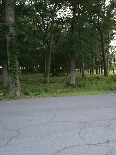 Shattuck Park - Norwood, MA