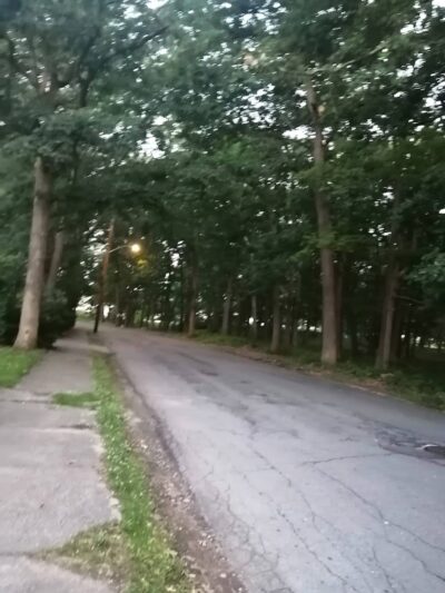 Shattuck Park - Norwood, MA