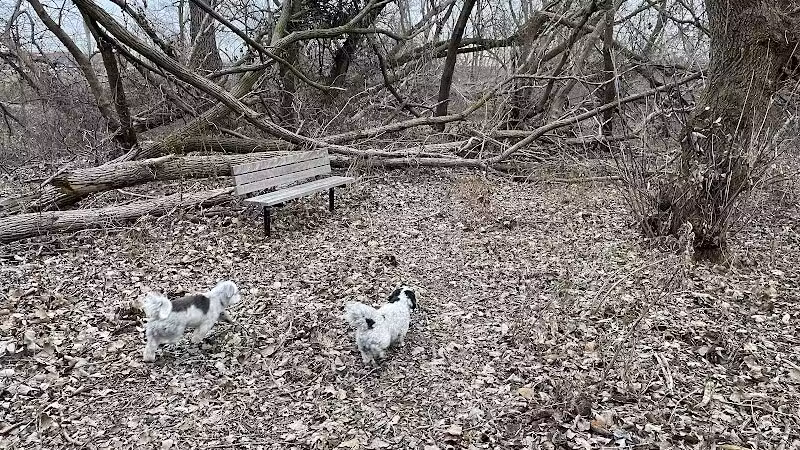 Adell Bridge and Walking Trail - Novi, MI