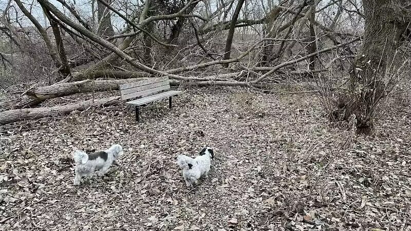 Adell Bridge and Walking Trail - Novi, MI